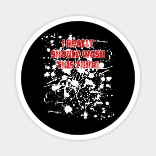 I Really Should Wash This Thing Sex Rag Magnet